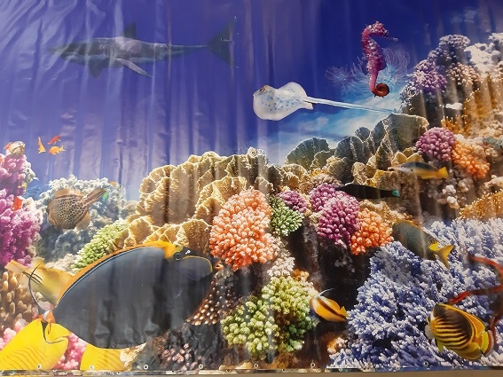 00285 aquarium banner
